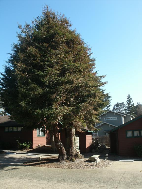 Rosedale Inn Pacific Grove Exterior photo