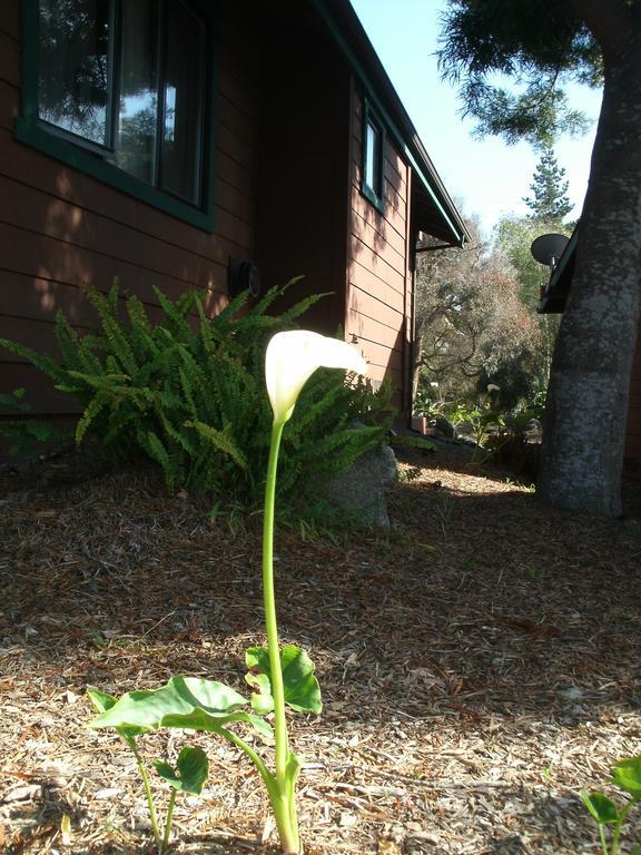 Rosedale Inn Pacific Grove Exterior photo